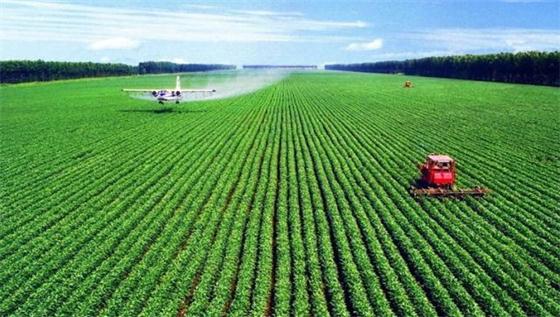 低碳经济发展与现代循环农业