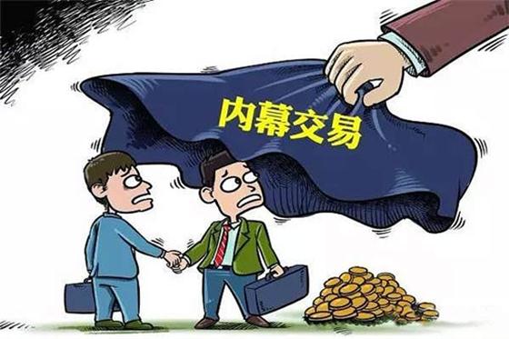 挂牌公司资金占用案例分析