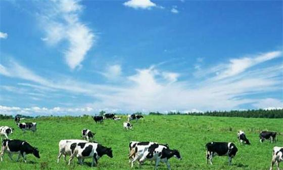 农业部：推动畜牧业绿色发展