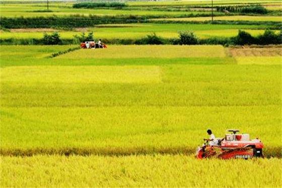 农业部关于农机化促进低碳农业发展工作方案