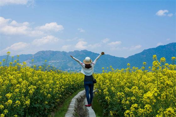 乡村旅游与康养旅游融合创重大发展机遇