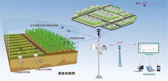 物联网技术对农业供给侧改革有哪些影响?