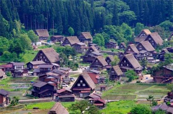 日本乡村振兴有哪些奇招?