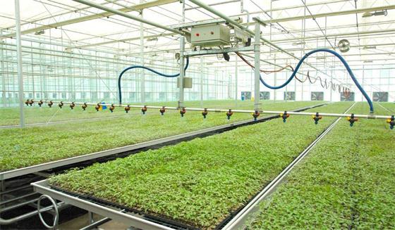 智能温室为何是现代农业发展新标准?