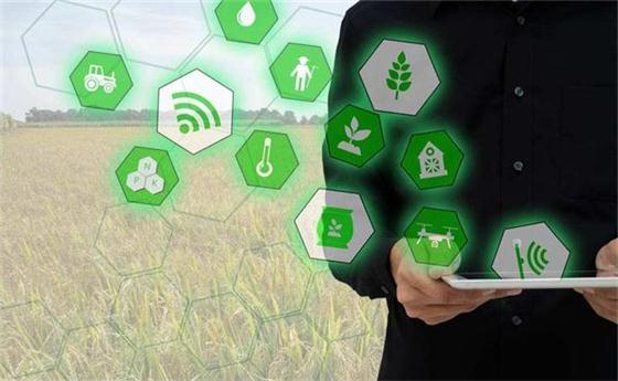 农业互联网如何助推现代农业发展?