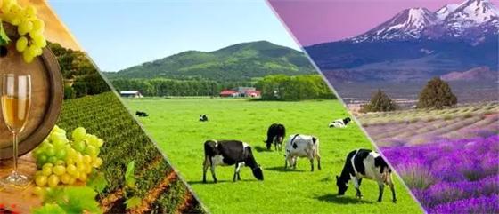 法国现代农业服务模式为何能全球展播?