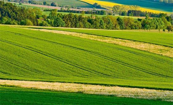 农业农村部：加大绿色农业补贴力度!